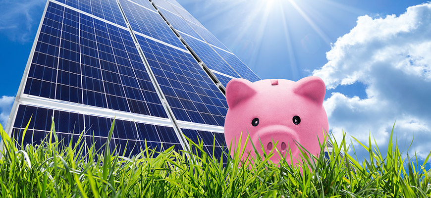 Mit Solaranlagen von Meister Solar spart man Kosten, das symbolisiert ein rosafarbenes Sparschwein im hellen Sonnenlicht vor einer Photovoltaikanlage