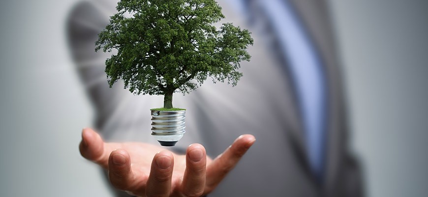 Politicians in business suits holding light bulb, from which a tree is growing